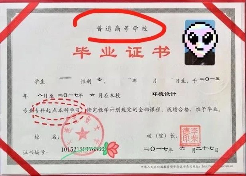 技能提升培训：解锁职场新高度
