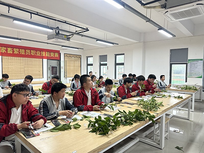 在职场中不断提升自己的技能，往往能获得更多的机会和发展空间。而很多企业和政府都为员工提供了技能提升补贴政策，鼓励大家考取各类证书。那么，到底哪些证书可以申请到技能提升补贴呢？