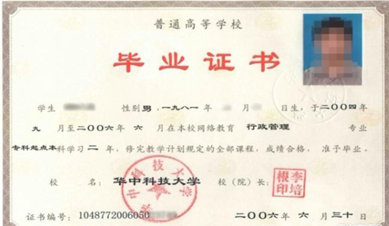 技能提升培训：从新手到专家的进阶之路